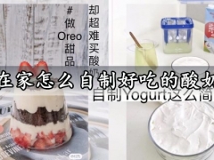 在家怎么自制好吃的酸奶 免机器快速完成自制Yogurt酸奶