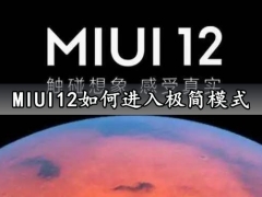 MIUI12如何进入极简模式 MIUI12开发者模式开启方法分享