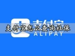 支付宝怎么查询社保