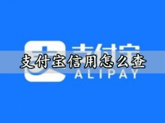 支付宝信用怎么查