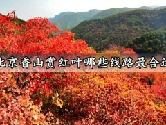 北京香山赏红叶哪些线路最合适 最佳的北京香山赏红叶线路推荐攻略