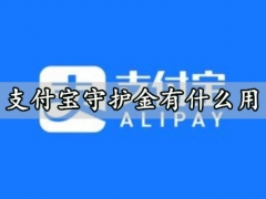 支付宝守护金有什么用