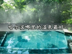 哈尔滨哪里的温泉最好 哈尔滨最值得去的温泉场所推荐
