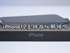 iPhone12支持指纹解锁吗 iPhone12系列支持屏内指纹识别吗