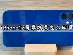 iPhone12屏幕发黄怎么回事 几个步骤轻松解决手机屏幕发黄问题