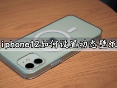 iphone12如何设置动态壁纸 苹果12系列手机怎么锁定横竖屏