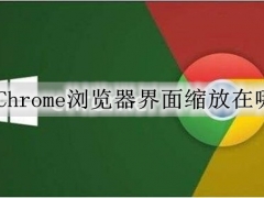 Chrome浏览器界面缩放在哪 Chrome浏览器缩放界面的方法