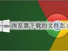 chrome浏览器下载的文件怎么看 chrome浏览器查看下载文件的方法