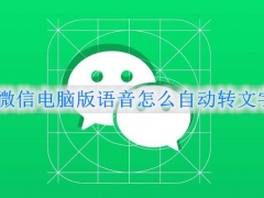 微信电脑版语音怎么自动转文字 微信电脑版语音自动转文字的设置方法