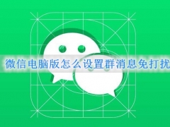 微信电脑版怎么设置群消息免打扰 微信电脑版屏蔽群消息的设置方法