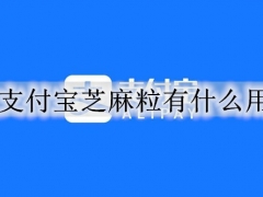 支付宝芝麻粒有什么用 支付宝芝麻粒作用介绍