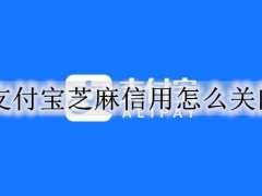 支付宝芝麻信用怎么关闭 支付宝关闭芝麻信用的步骤方法