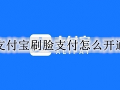 支付宝刷脸支付怎么开通 支付宝开通刷脸支付的详细教程