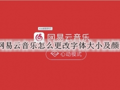 网易云音乐怎么更改字体大小及颜色 网易云音乐修改字体大小及颜色的详细教程