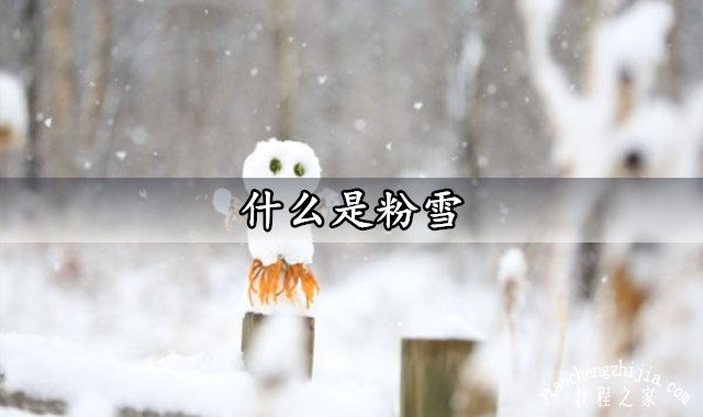 什么是粉雪 粉雪是怎么形成的有哪些特点