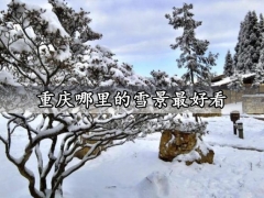 重庆哪里的雪景最好看 重庆赏雪景最佳地点位置推荐