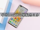 华为nova8Pro续航怎么办 华为nova8Pro充电速度快吗