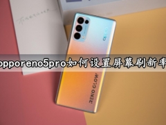 opporeno5pro如何设置屏幕刷新率 自定设置手机屏幕刷新率方法教程