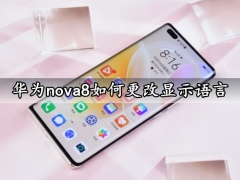华为nova8如何更改显示语言 一键修改手机显示语言方法