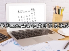 华为mate40如何启用简易模式 一键开启手机简易模式方法