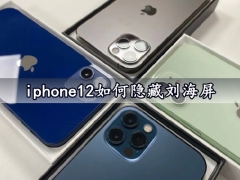 iphone12如何隐藏刘海屏 一键隐藏苹果12刘海屏方法