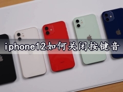 iphone12如何关闭按键音 一键禁用苹果12按键音方法