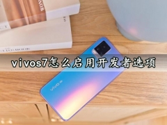 vivos7怎么启用开发者选项 一键开启手机开发者选项方法