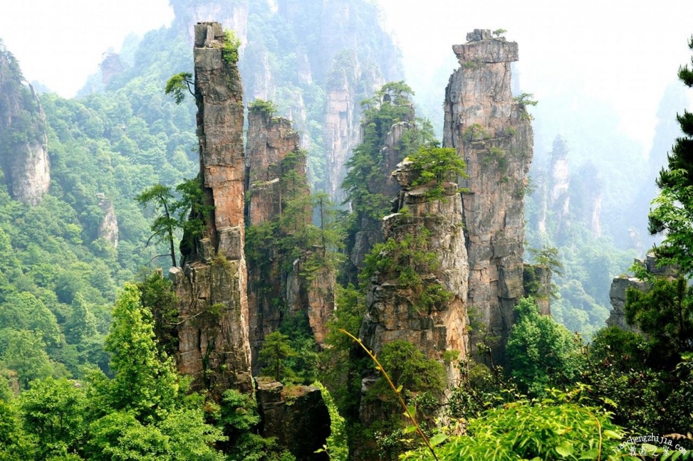 张家界旅游几月份最好玩 去张家界旅游要注意哪些事项