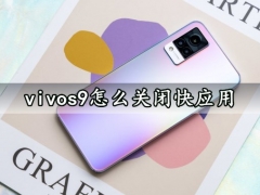 vivos9怎么关闭快应用 快速关闭禁用快应用方法分享