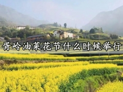 胥岭油菜花节什么时候举行 2021胥岭油菜花节活动详情介绍