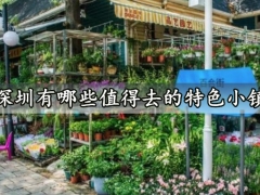 深圳有哪些值得去的特色小镇 深圳旅游这几个小镇千万不能错过