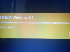 无法更新到Windows 8.1，“0xc1900101-0x40017”错误解决方法