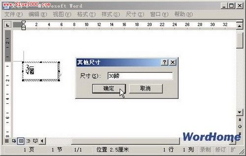 在Word中怎样输入数学公式？