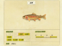 动物森友会金鳟怎么钓 Switch动物之森春季金樽捕捉方法