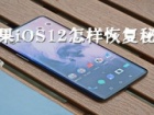 苹果iOS12系统密钥忘了怎么办 苹果iOS12系统秘钥恢复方法图解