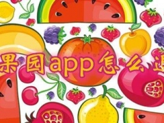 百果园app买的水果不想要怎么办 百果园app退货怎么操作