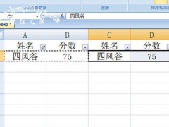 Excel筛选后数据怎么复制粘贴 教你一招不踩坑