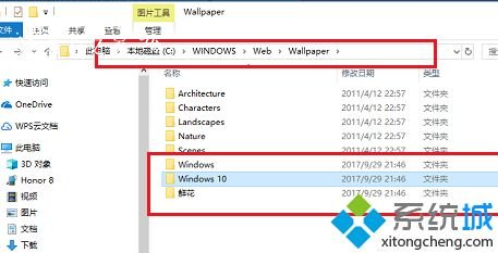 win10主题在哪个文件夹？寻找win10主题文件夹的方法