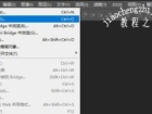 PS怎么给图片打马赛克 Photoshop添加马赛克的方法教程[多图]