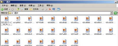 WinXP系统电脑图片文件名全部消失的解决方法