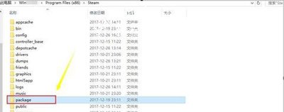 Win10系统电脑安装steam软件后连不上网络怎么办