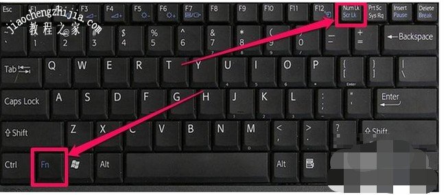 笔记本键盘打不出字的解决方法1-Fn+Num组合键切换
