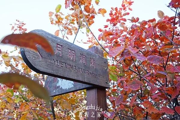 北京去哪里看红叶风景最美 舞彩浅山最佳的赏红叶路线攻略