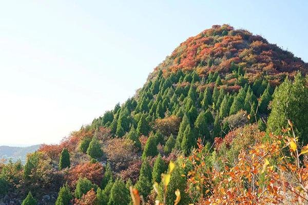 北京去哪里看红叶风景最美 舞彩浅山最佳的赏红叶路线攻略