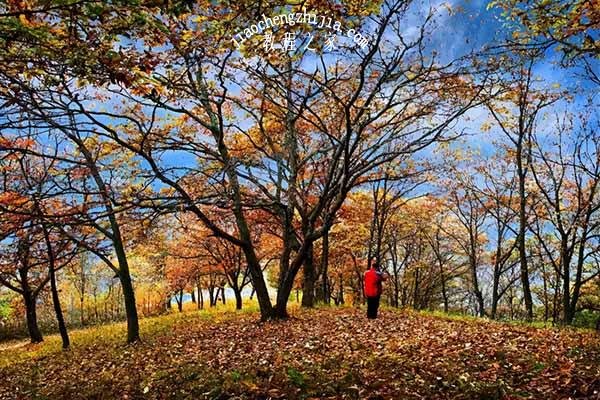 重庆哪些地方看红叶最美 重庆赏红叶最佳的自驾线路攻略