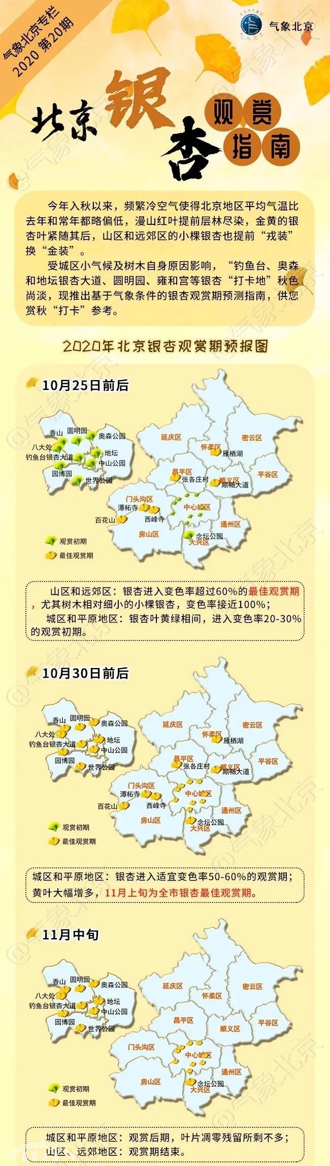 北京赏银杏叶什么时候最好 北京赏银杏叶哪些地方最美