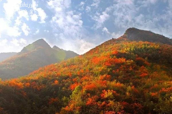 湖北赏红叶有哪些景点最美 最佳的湖北赏红叶景点推荐