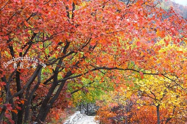 西安去哪里看红叶风景最美 西安赏红叶最美景点推荐