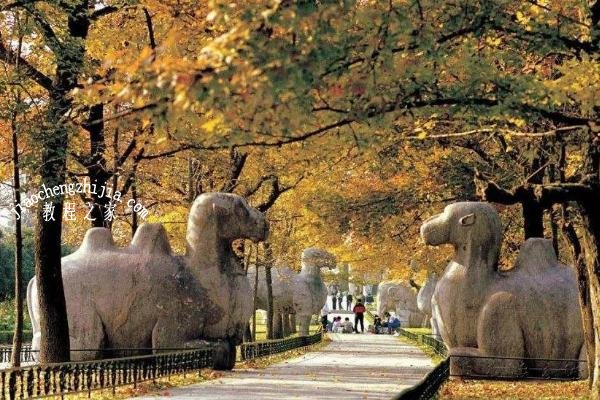 南京赏秋去哪里风景最美 南京最佳赏秋地点推荐