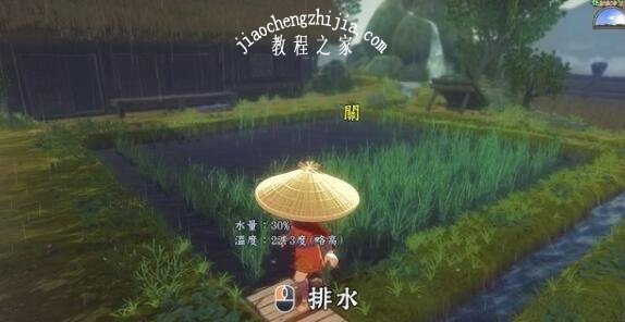 天穗之咲稻姬游戏截图